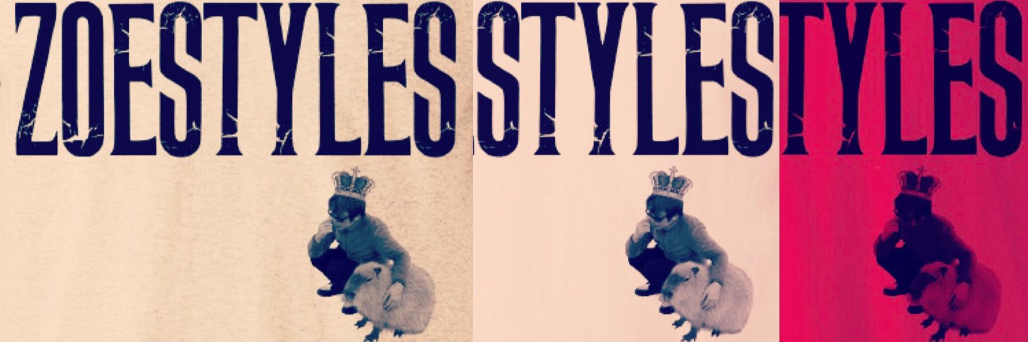 ZOESTYLES banner