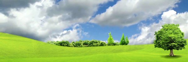 VerenDonald Profile Banner