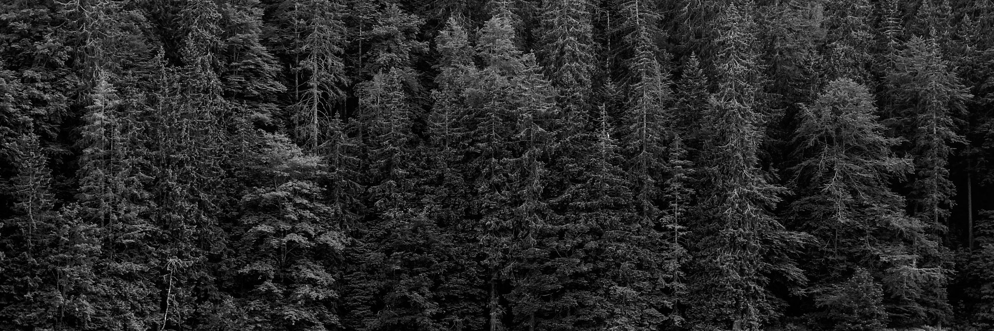 caseybaksa's profile banner image