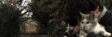 Eriu.li-☀️ banner