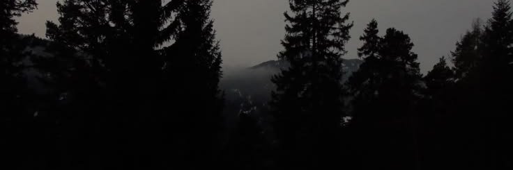 lorvyth's profile banner image