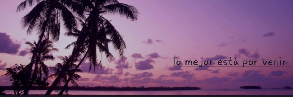 Q banner