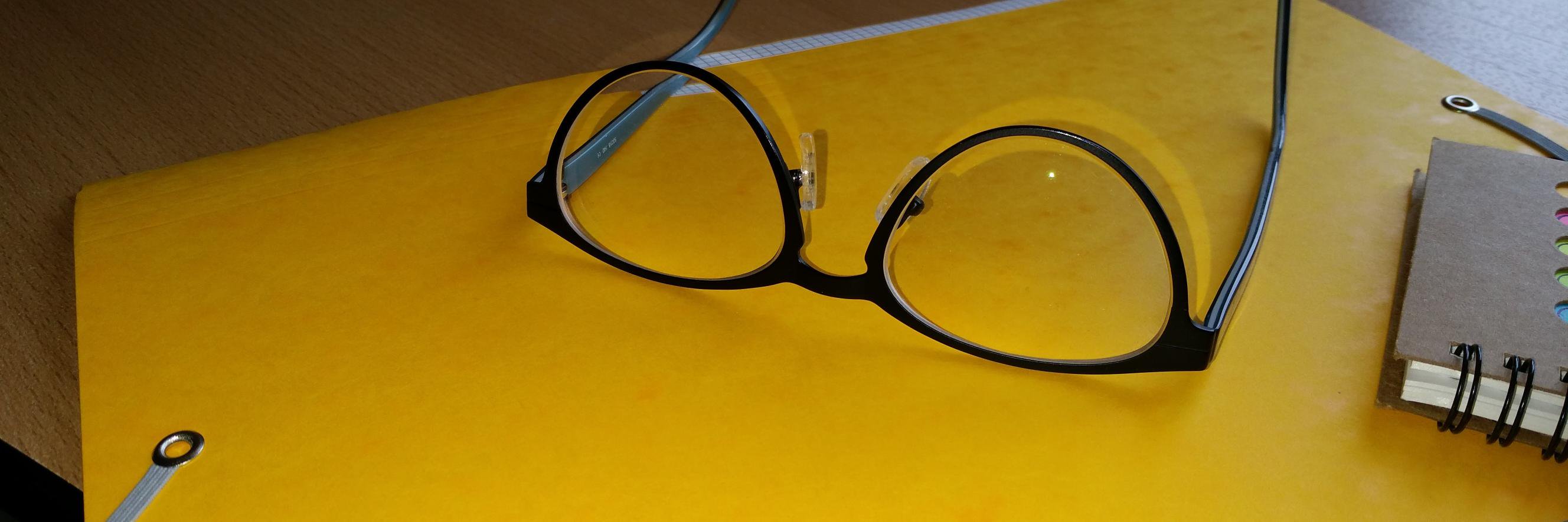 Dominique Danau banner