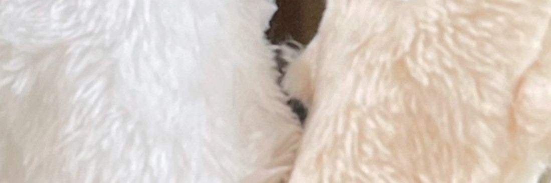 みこ banner