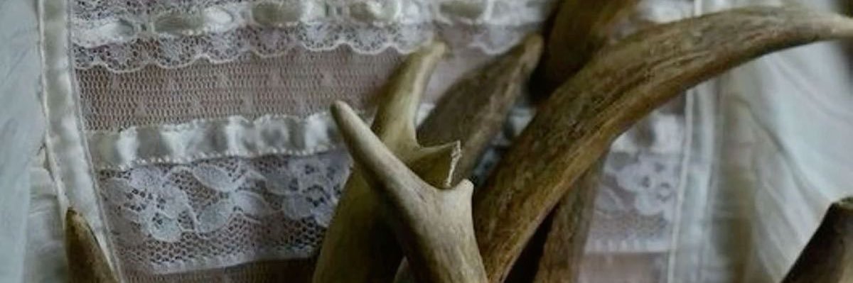 𝔴𝔲𝔩𝔣𝔰𝔟𝔞𝔫𝔢 ⟢ banner