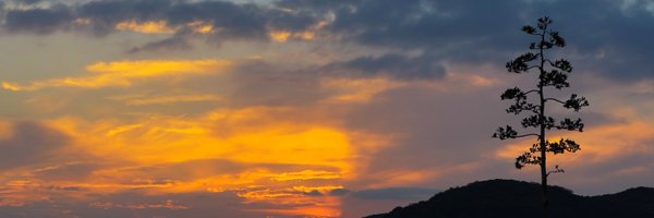 texasgov Profile Banner