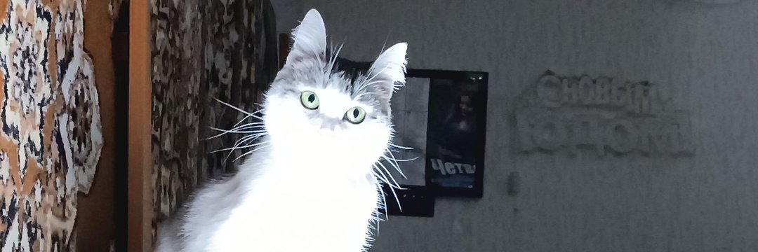 лна дрль banner