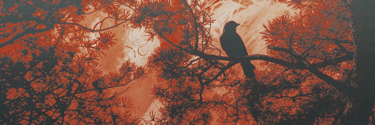 ᅠᅠ𝕾𝖠𝖬𝖶𝖤𝖫𝖫 𝕭𝗟𝗔𝗖𝗞𝗪𝗢𝗢𝗗.ᐟᅠᅠ banner