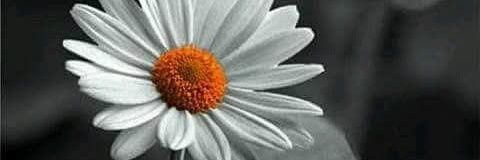 Biffi55555's profile banner image