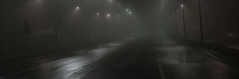 alyona banner