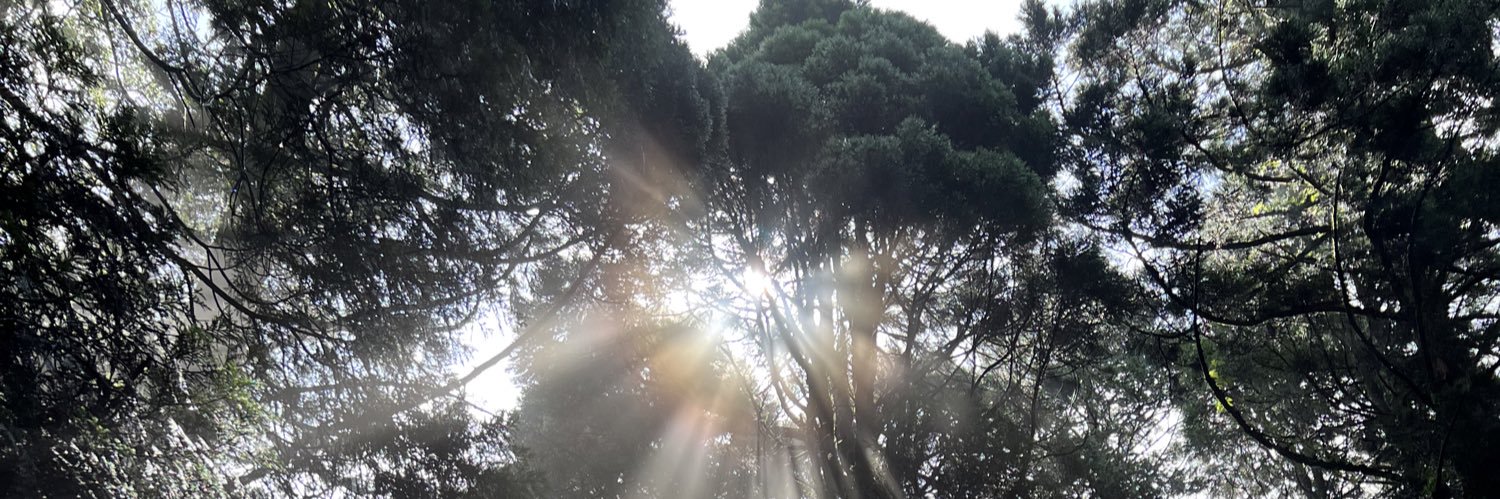 水瀬まなみ banner