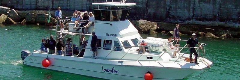 WhaleWatchingSA's profile banner image