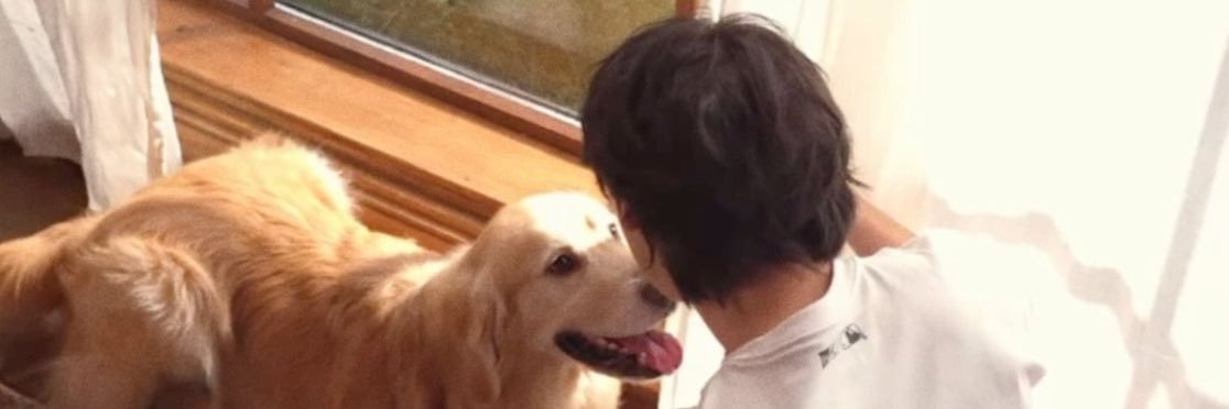 🐶ྀི's banner