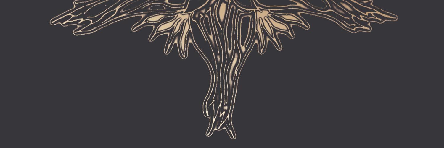 ThePhlowers's profile banner image
