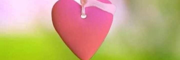 LyNrjs115's profile banner image