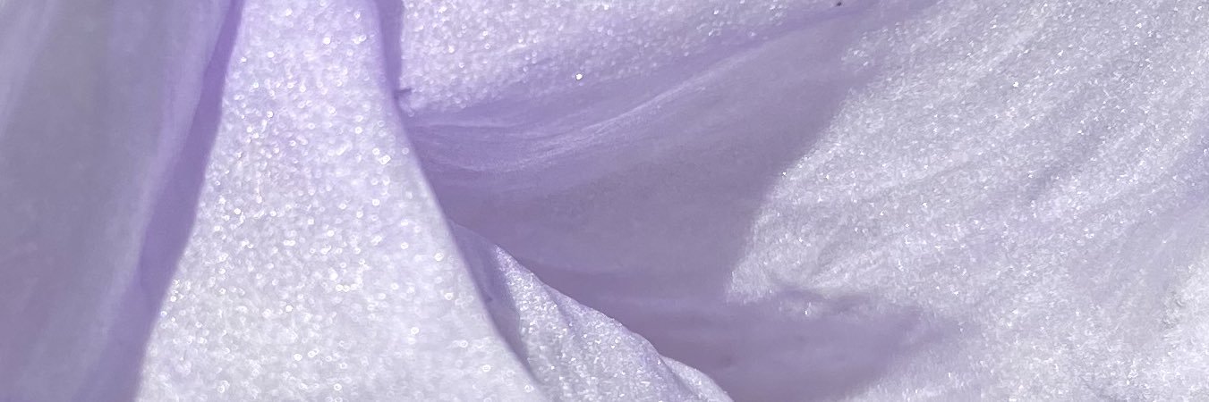 L Ó R banner