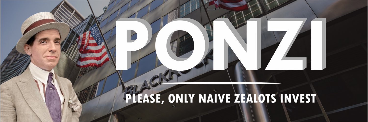 $PONZI banner