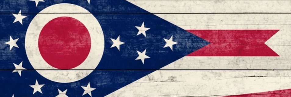 Patriot Paul's banner