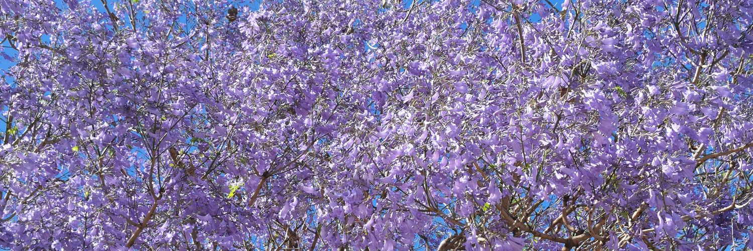 Charles from Buenos Aires banner