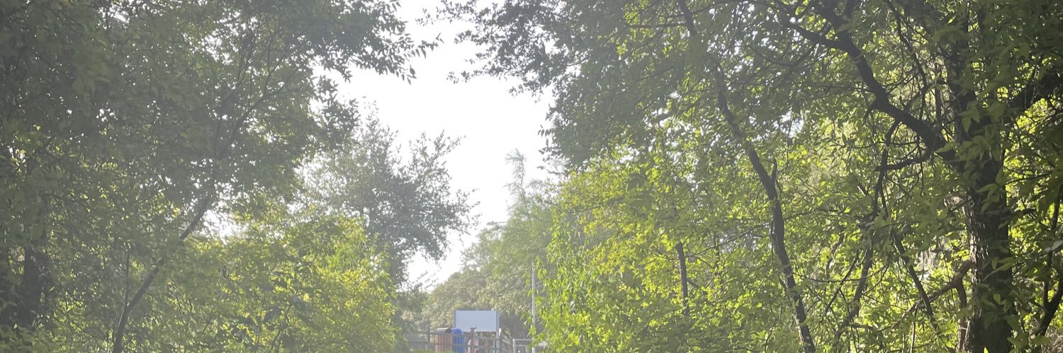 Professor Important banner