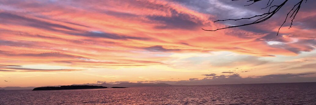 Helen Crimmins banner