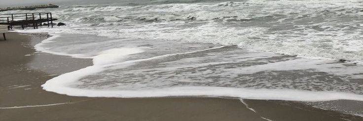 mikko¡ banner