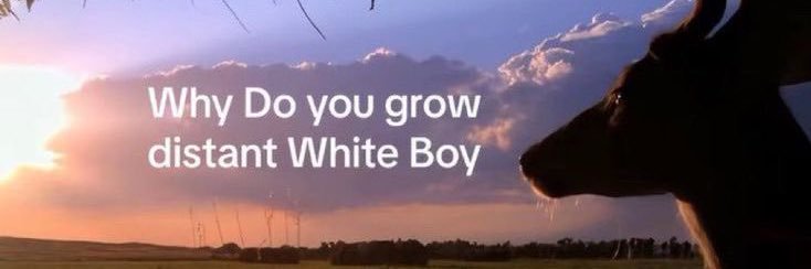 v for vienna 🖤💜 banner