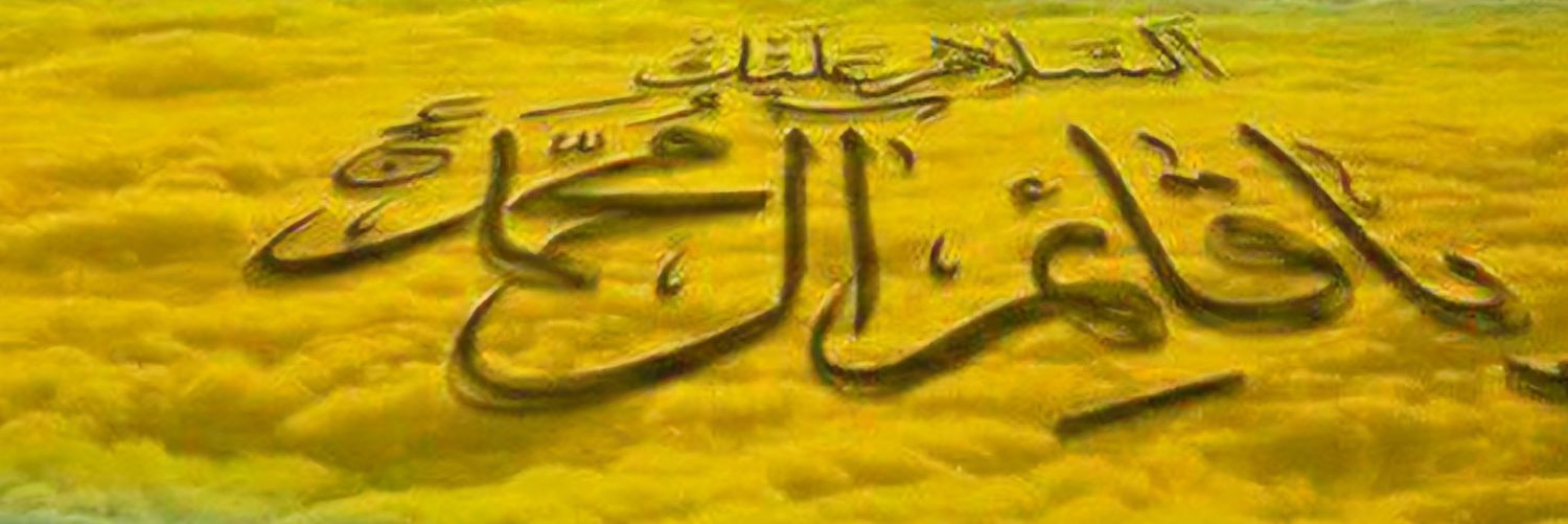 narges's banner