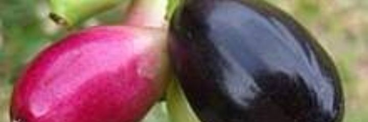 shs72051's profile banner image