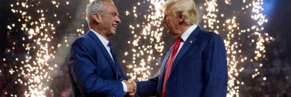 DragonSwordIsBack banner