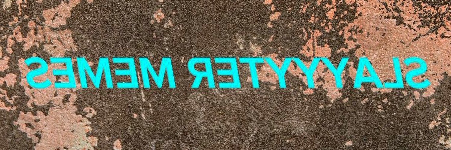 slayyytermemes's profile banner image