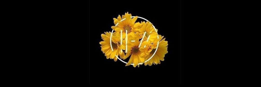 Kim 🇺🇦🌻🌺 💜💛🇵🇸 banner