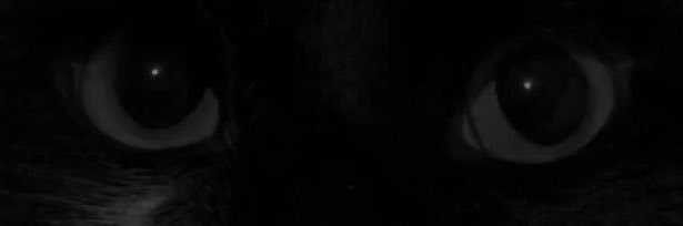 tuosaz's profile banner image