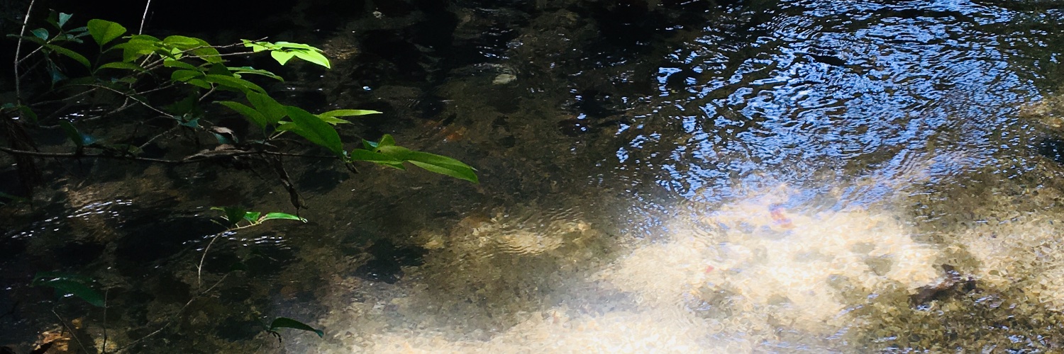 塵芥カドル banner