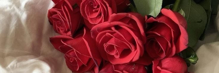 q2_c8sz's profile banner image