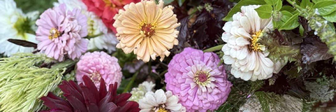 Sheep Tai Chi banner