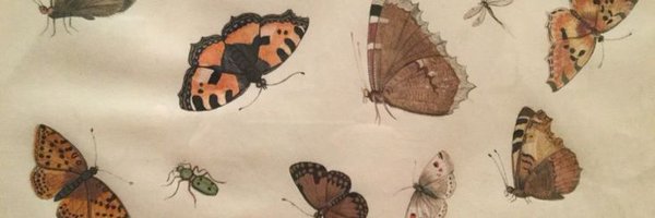 81mclz Profile Banner