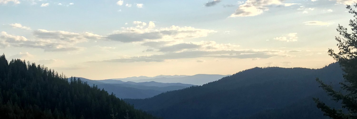 DemsforMT's profile banner image