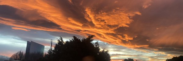 liliasaul Profile Banner