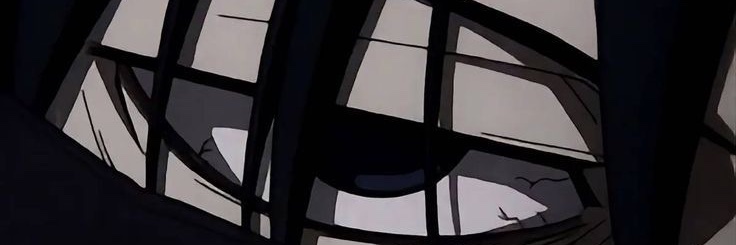 Will chapman banner