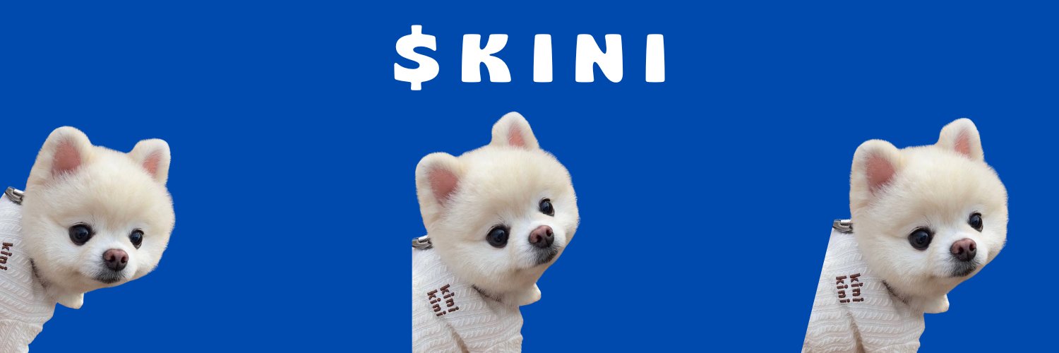 $kini banner