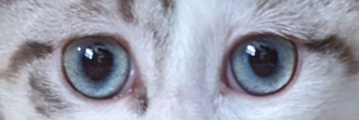 SpiderLuke's profile banner image