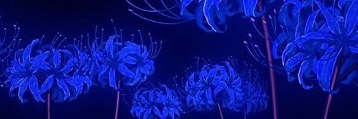 PIGNWANG's profile banner image