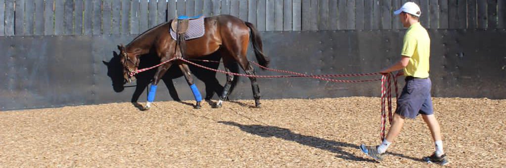 Basil Brindley banner