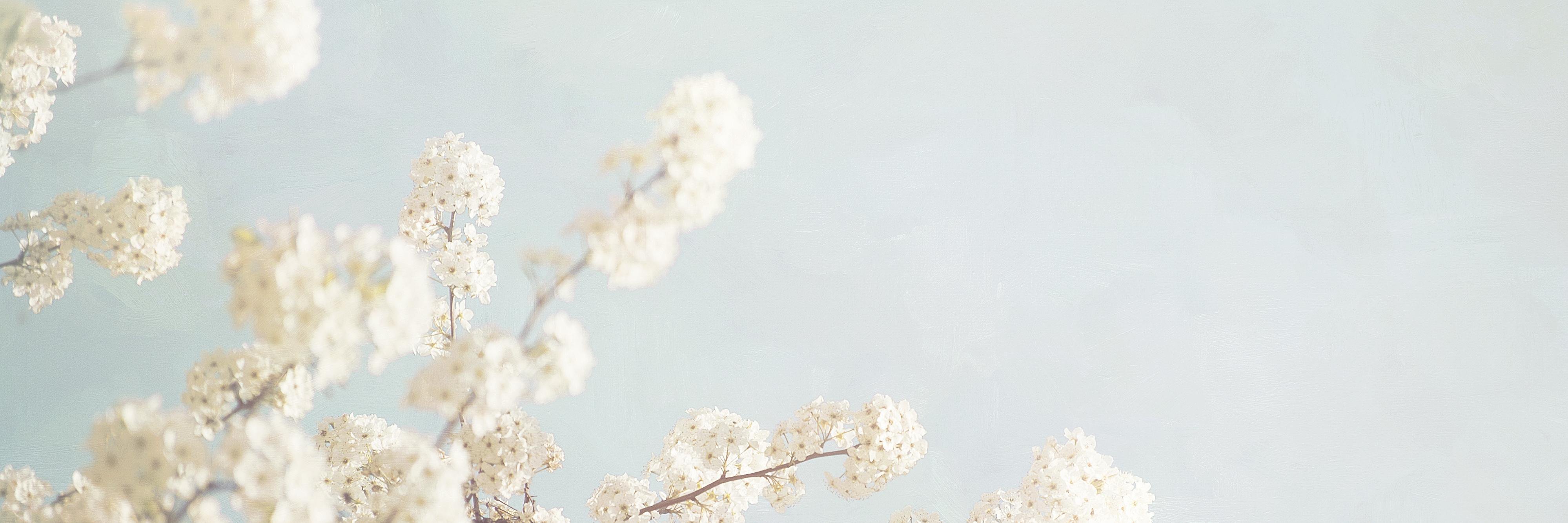 BrendaJHook's profile banner image