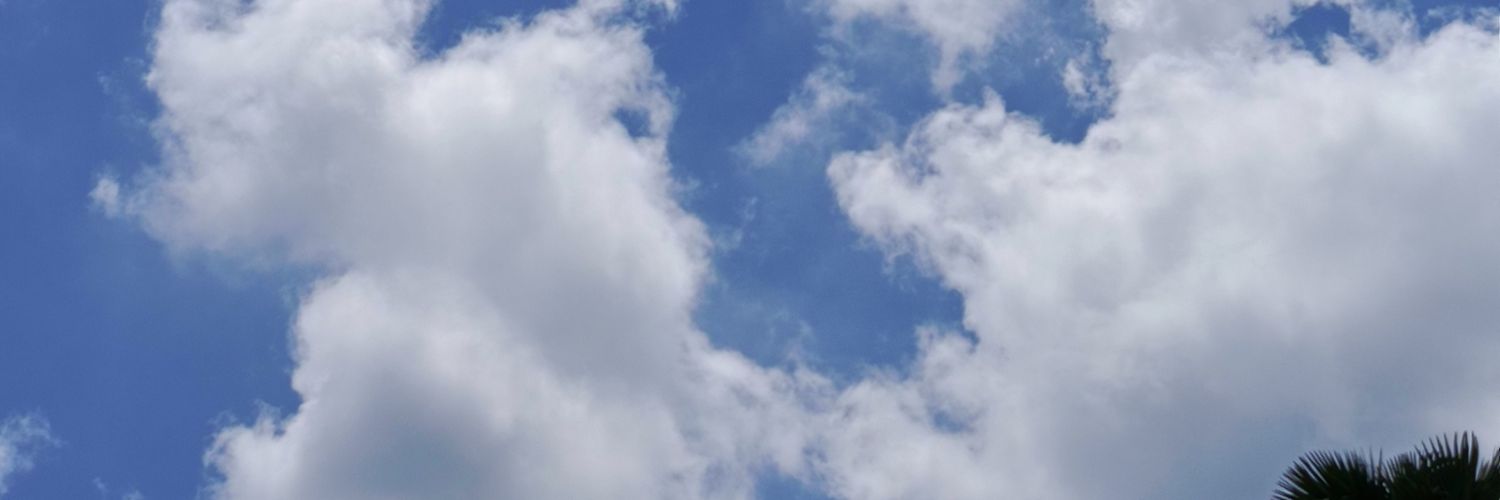 rainwithpooh's profile banner image