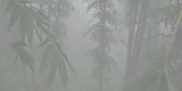 _fireandrain_'s profile banner image