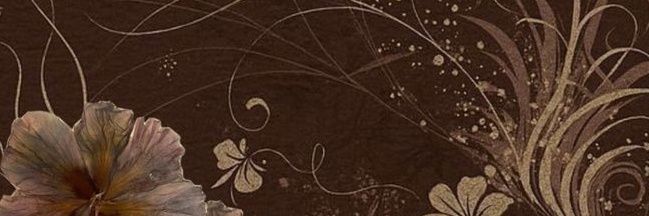 salza banner