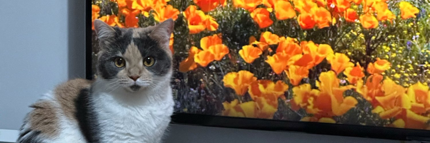 Naimesu 🌊RIVER banner