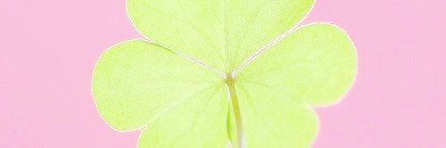 ♫ banner